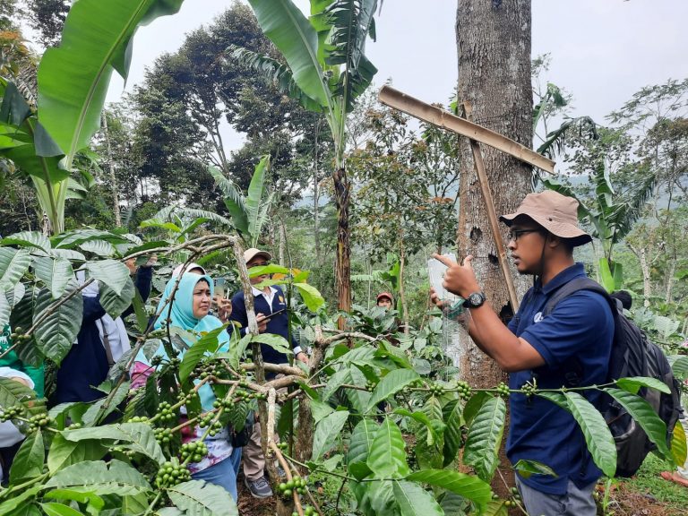 Kementerian Pertanian Direktorat Jenderal Perkebunan » Peningkatan ...