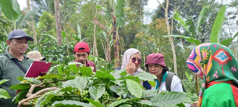 Kementerian Pertanian Direktorat Jenderal Perkebunan » Peningkatan ...