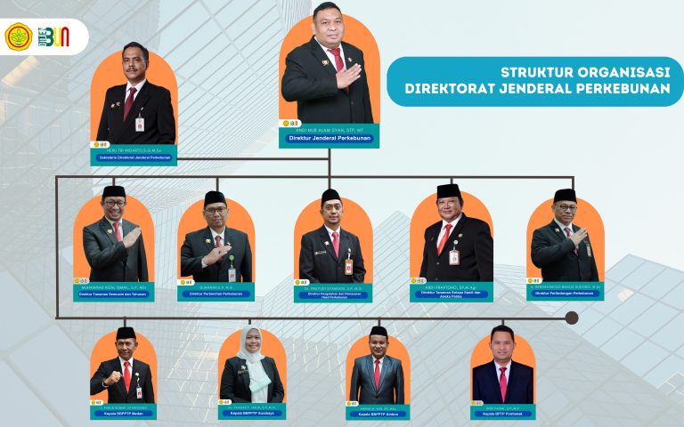 Kementerian Pertanian Direktorat Jenderal Perkebunan » Struktur Organisasi