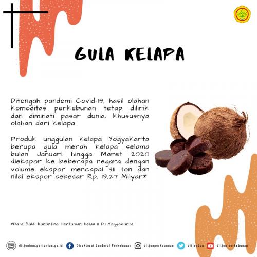 Infografis Gula kelapa